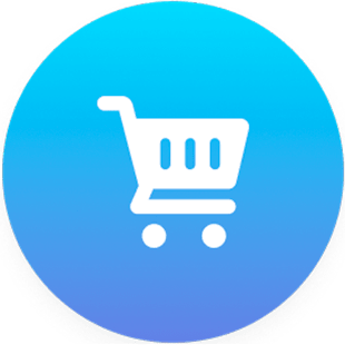 e commerce seo