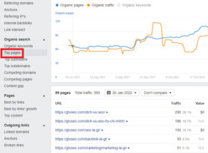 Cách truy cập vào “Organic Search” và click vào mục “Top Pages”