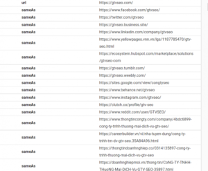Nên chèn các link mạng xã hội quan trọng vào phần SameAs