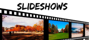 Hiển thị hàng loạt hình ảnh dễ dàng hơn bao giờ hết với Slideshow