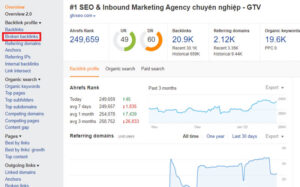 Kết quả sau khi vào phần “Backlink” và chọn “Broken”