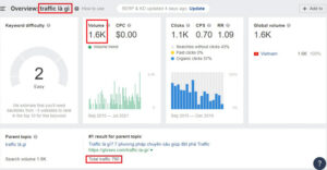 Traffic website là gì? kiểm tra lưu lượng search hằng tháng của từ khóa bằng Ahrefs