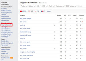 Kiểm tra Organic Keyword của website