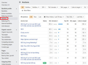 Liệt kê các loại Anchor Text