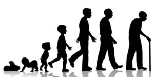 Dành thời gian nghiên cứu chân dung khách hàng mục tiêu để lựa chọn loại Content SEO phù hợp nhất.