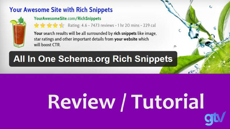 Plugin Org Rich Snippet