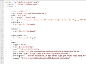 Một đoạn khai báo Schema trên Structured Data Testing Tool
