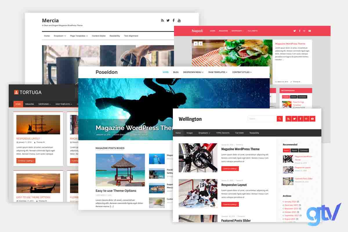 theme seo wordpress