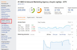 Click vào các “Organic Keywords” phía dưới phần “Organic Search”