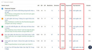 Xác định traffic của trang web đang đứng top 5 của keyword