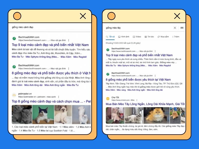 Ví dụ minh họa nhóm từ khóa