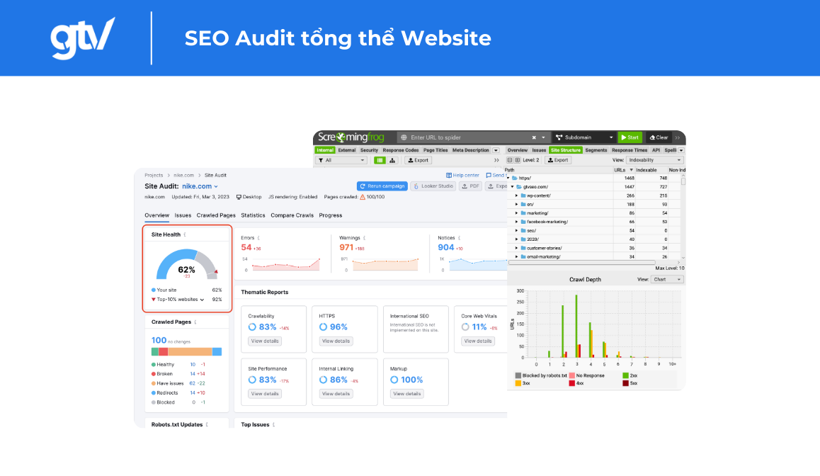 seo audit tong the website