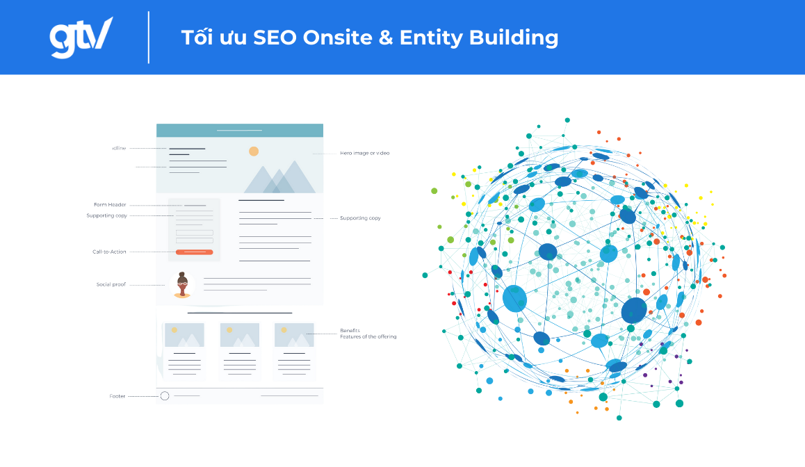 toi uu seo onsite entity building