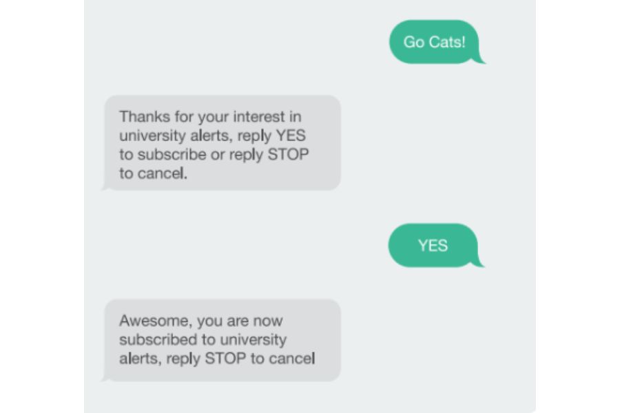 Ví dụ về opt-out text
