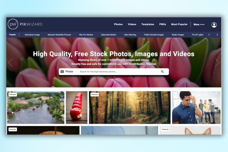 Hình ảnh sinh động trong mẫu thiết kế email marketing của bạn 6
