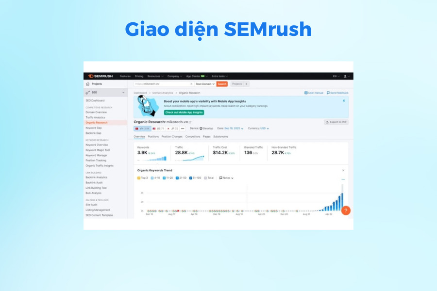 Giao diện Semrush